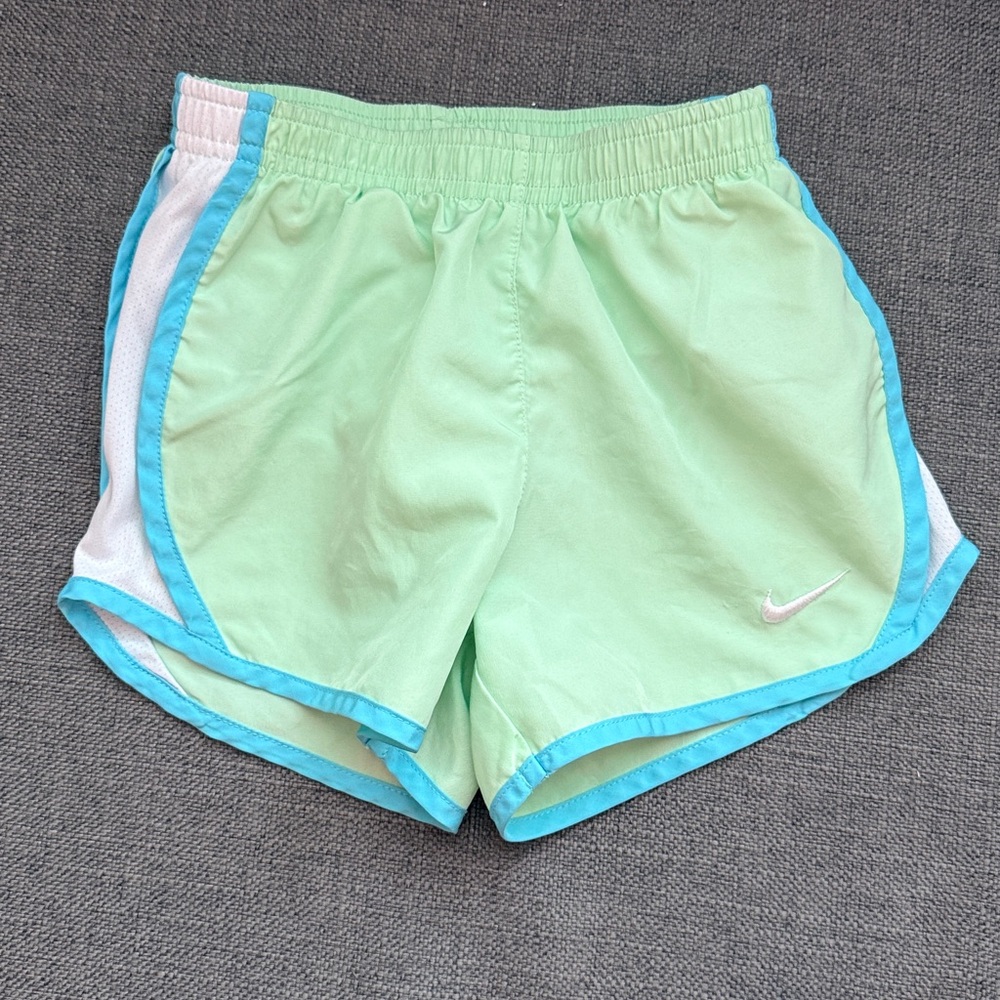 Nike Light Green and Blue Running Shorts